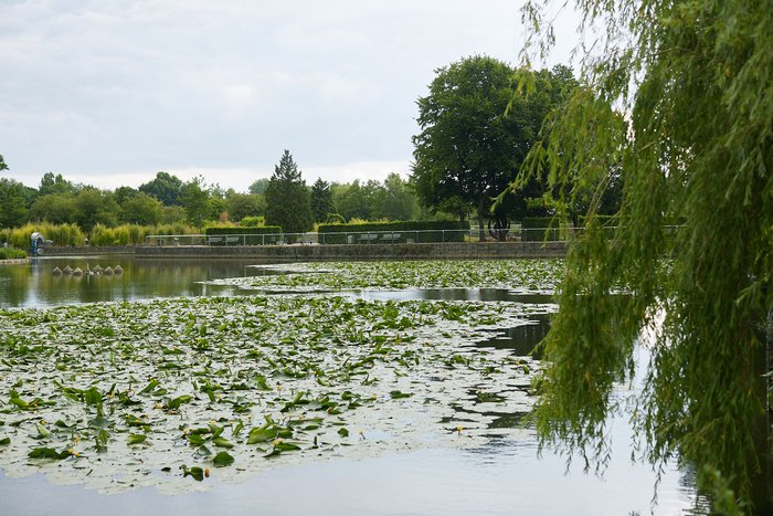 Pond in the Vierjahreszeiten-Park Oelde